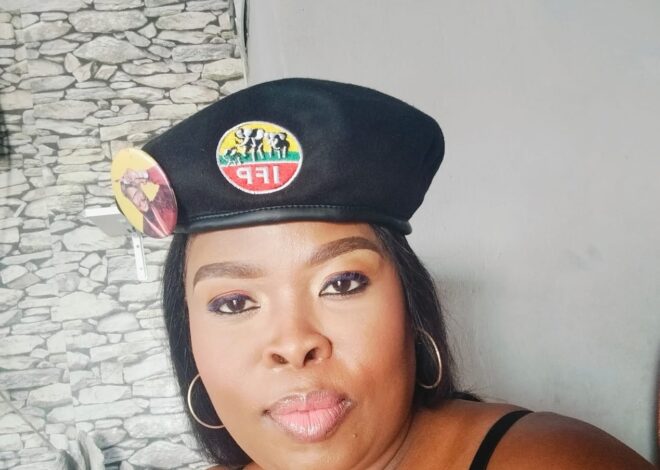 IKhansela le-IFP ligxeka ukusetshenziswa kwesiNgisi emhlanganweni woMkhandlu e-ICC