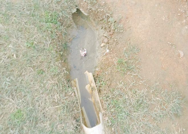 UMPHAKATHI WASEMLAZI KA-V, WARD 80.UKHALA NGENDLE EGINQIKA OBALA